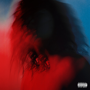 董卿被黑人玩到高潮
